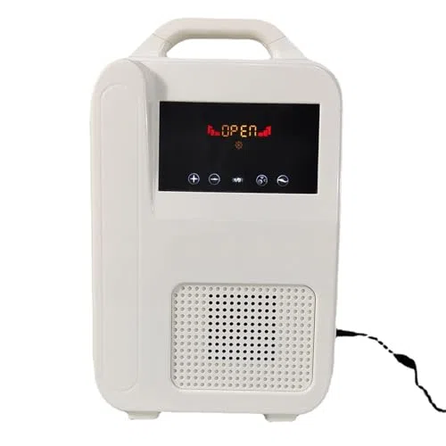 Appareil électrique portable à oxygène – Booster d'air à ions négatifs avec canule et étui de transport – Machine à oxygène compacte pour la maison, les voyages, l'extérieur et la voiture