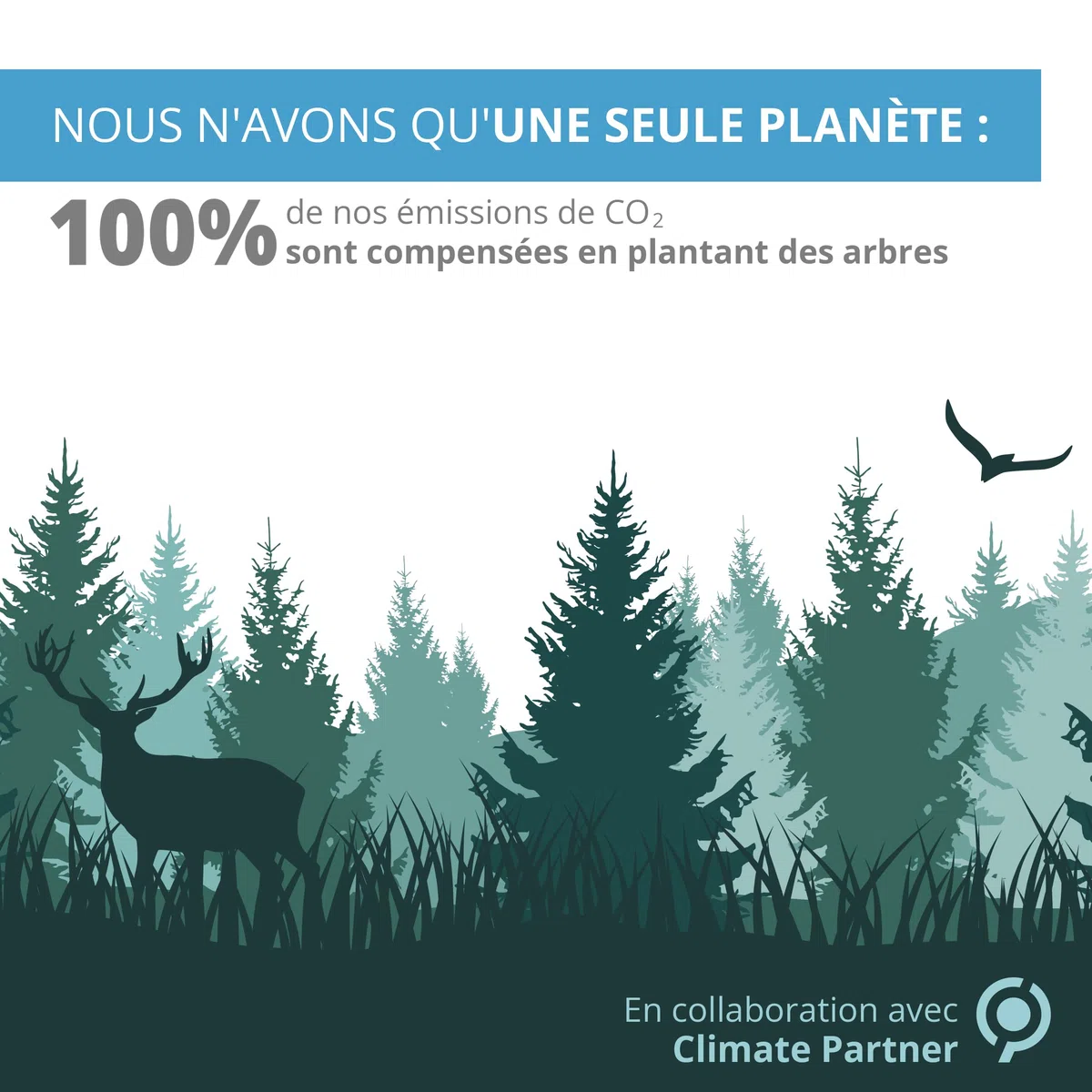 Argent Colloïdal 300 ml - 40 PPM - Bouchon Doseur et Spray 30ml à Remplir - Fabriqué en France
