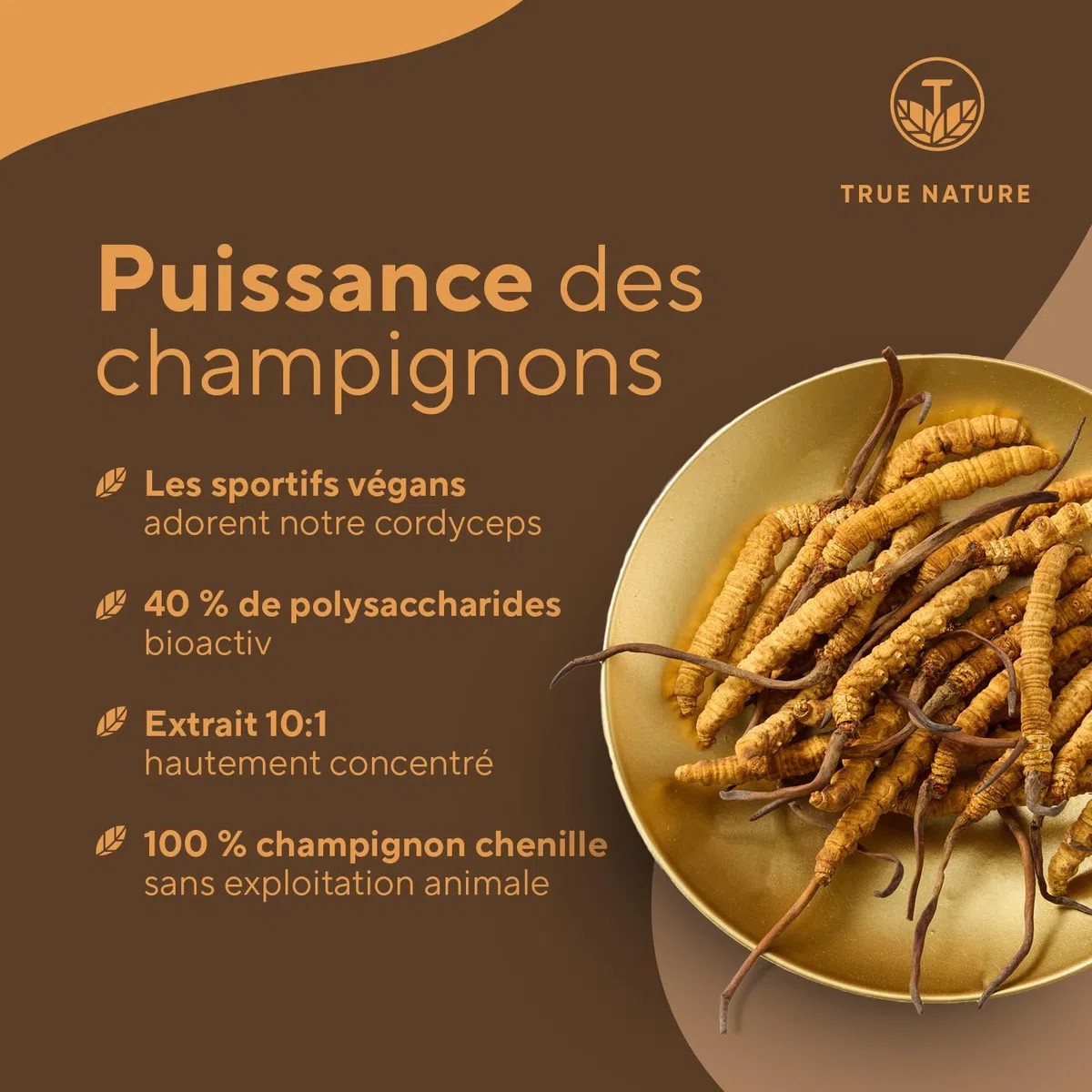 Cordyceps – 6.500 mg CS-4 (10:1) par unité | 270 Gélules pour 3 Mois | Vitalité, Énergie, Immunité | 40 % de Polysaccharides | Vegan, Sans Additifs, Gluten & Lactose – TRUE NATURE