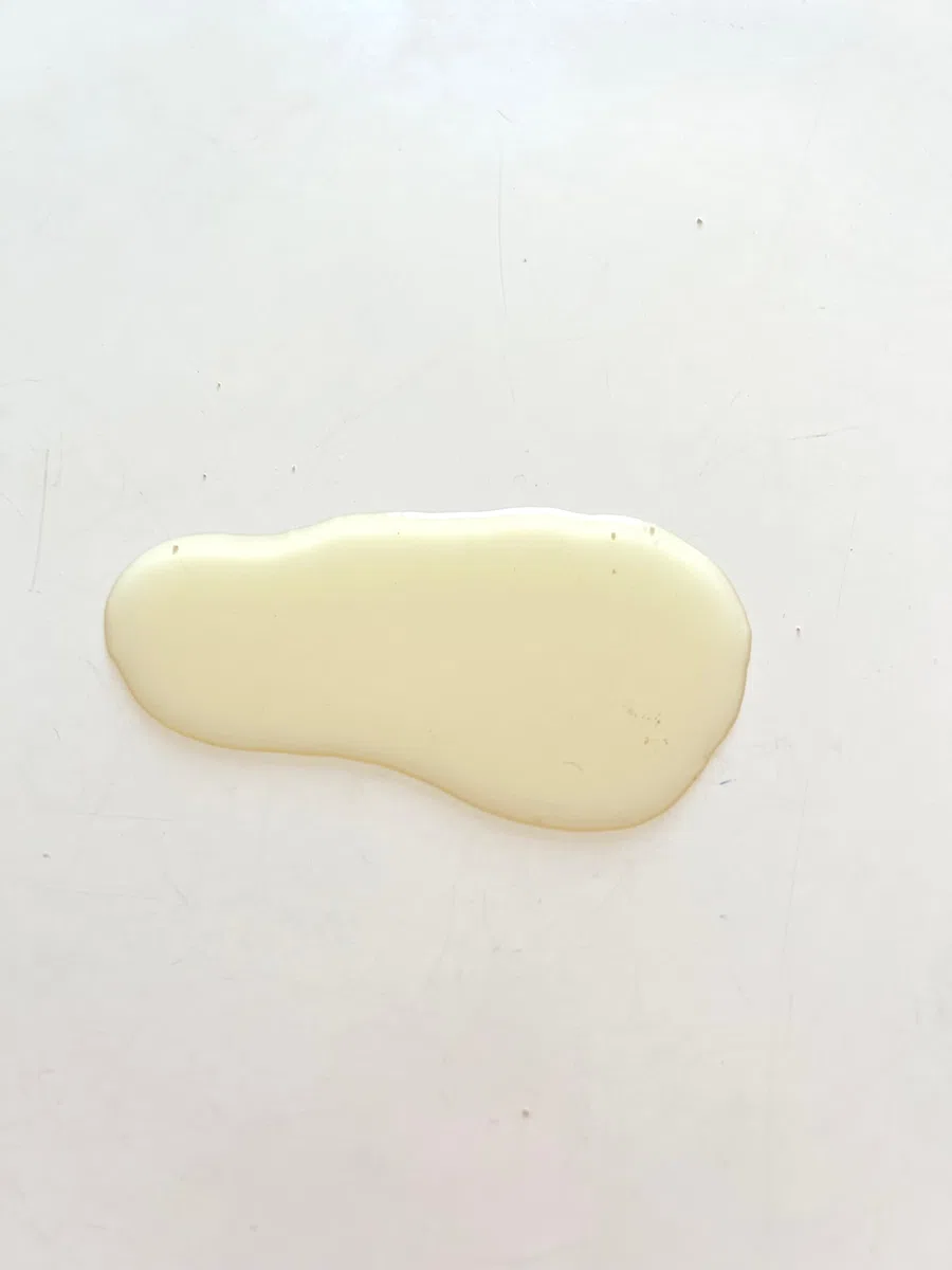 ABSORB XXL Poudre Super Absorbante Vomi, Urine et Liquides | Gélifiant Rapide et Solidifiant Parfumé à l’Eucalyptus | Pour Animaux, Enfants et Mal des Transports | Lot de 2 Bouteilles de 1L