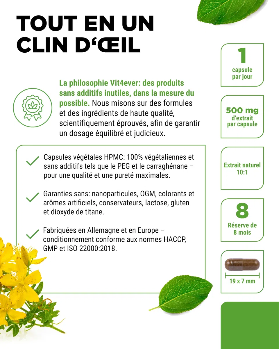 Millepertuis -240 capsules avec 500 mg d'Extrait fabriqué à partir de 5000 mg de Millepertuis pur - Extrait Naturel 10:1 - Hautement Dosé - Vegan