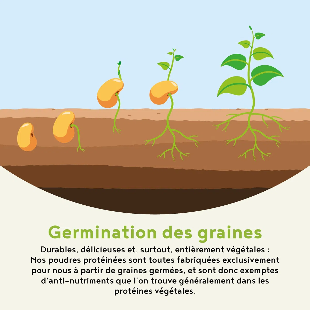 Morning Fuel | Mélange Vanille et Matcha pour le petit-déjeuner | Proteine vegetale de pois germés, quinoa, avoine, algues, alfalfa, épinards, maca, spiruline | vit. B6 + B12 | 600gr | Alpha Foods