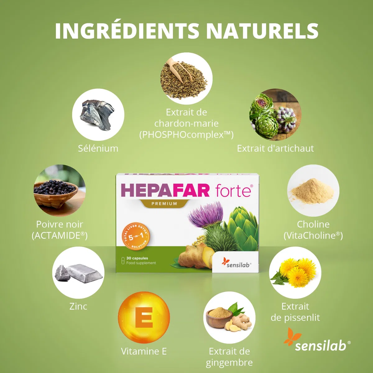 Hepafar Forte Premium Detox, Chardon-Marie, Artichaut, Complexe de Pissenlit, 60 gélules, Vitamine E, Phospholipides, Sensilab