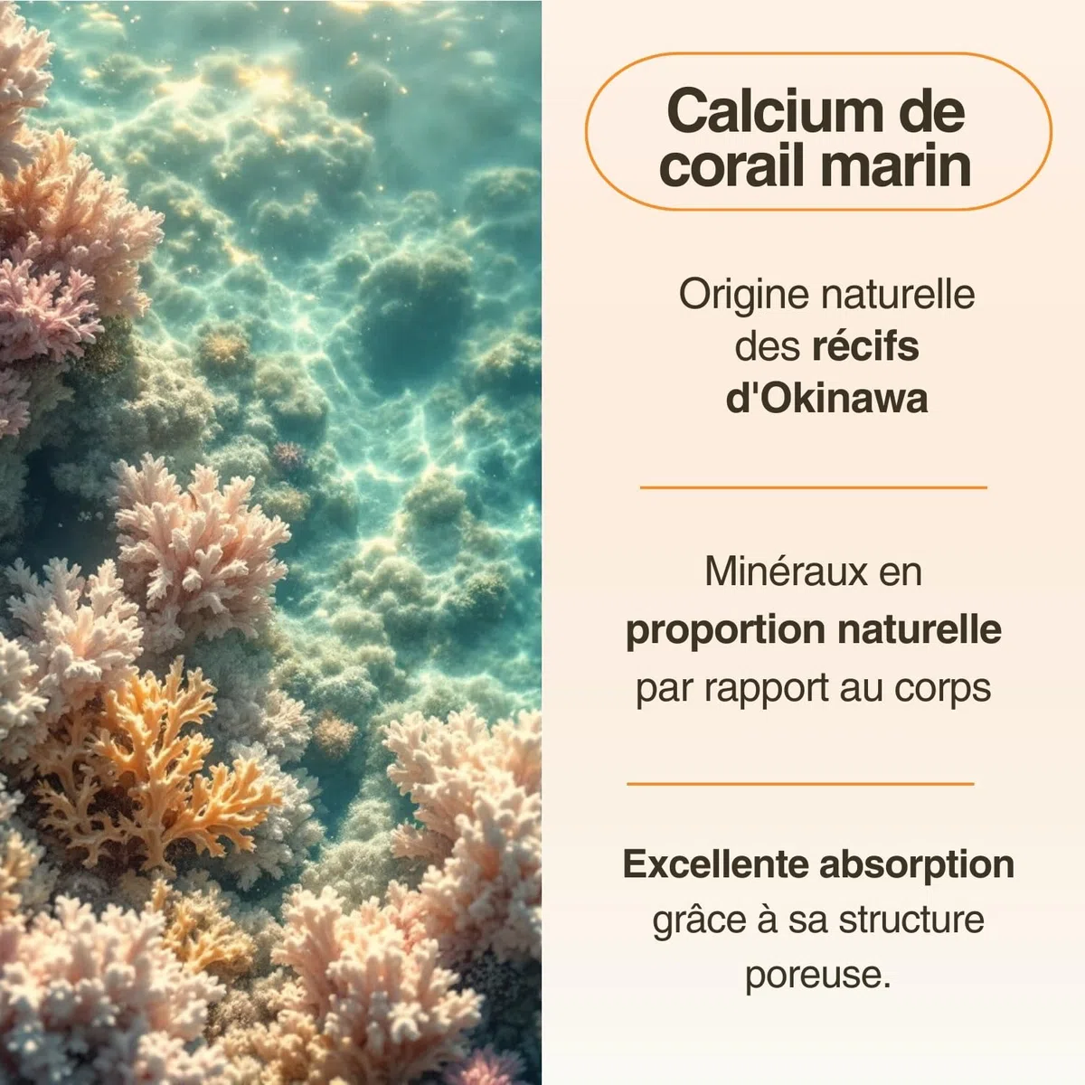 Calcium Vitamine D Essence Pure | Calcium de Corail Marin (1000 mg) + Vitamine D3 (400 UI) + Citrate de Magnésium (400 mg) | Os et Articulations Solides | 120 Gélules 2 Mois | Api-Nature