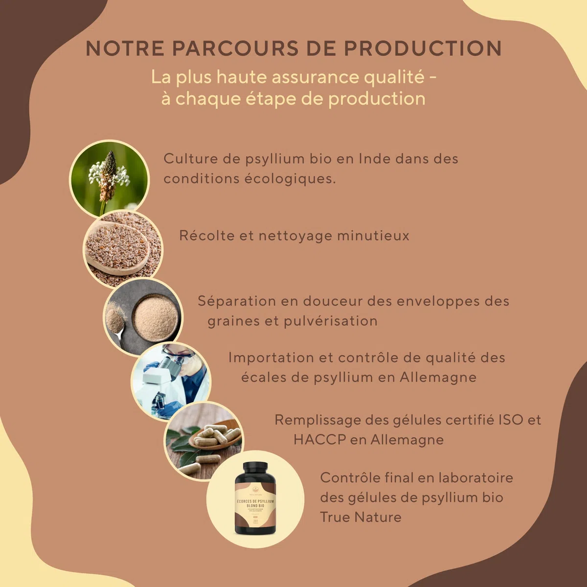 Psyllium Blond BIO | 4.500mg par jour - 360 Gélules pour 2 mois - Téguments purs à 99% - Riche en Fibres - Digestion & Fonction Intestinale - Vegan, Sans Additifs, Gluten & Lactose | TRUE NATURE