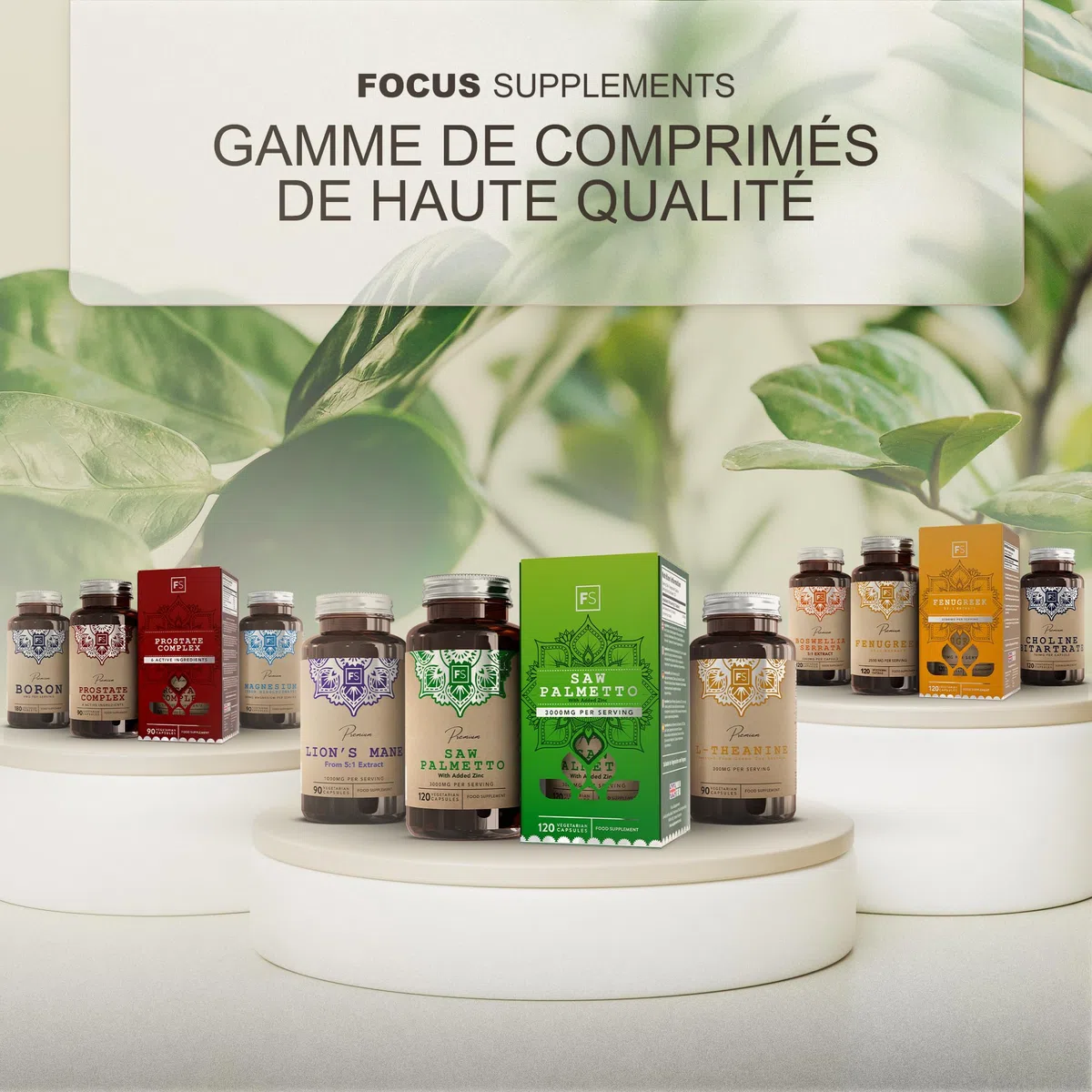 FS Tribulus Terrestris | 180 Capsules de Tribulus Terrestris Haute Teneur - 2500mg de Trib (Extrait 35:1) par capsule | Sans OGM Sans Gluten Sans Allergène | Fabriqué au Royaume-Uni