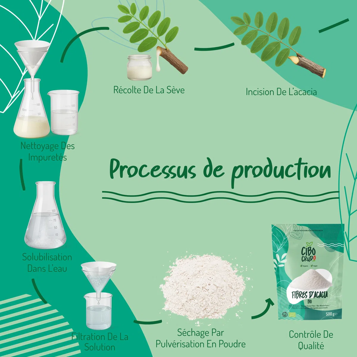 CiboCrudo Gomme Arabique Bio - 500g. Fibre Alimentaire d'Acacia Riche en Fibres (85%) et Sans Sucres. Fibre Soluble Végétaliennes Excellentes pour es Régimes Cétogènes et la Digestion.