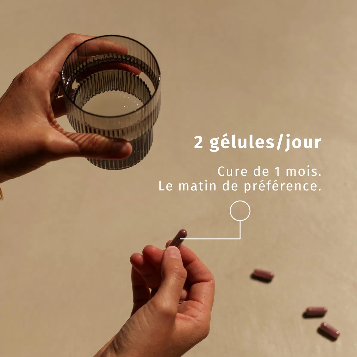 Morosil ® + vinaigre de cidre | Contrôle du poids, digestion & régulation de la glycémie | 60 gélules gastro-résistantes | Fabriqué en France | Valebio