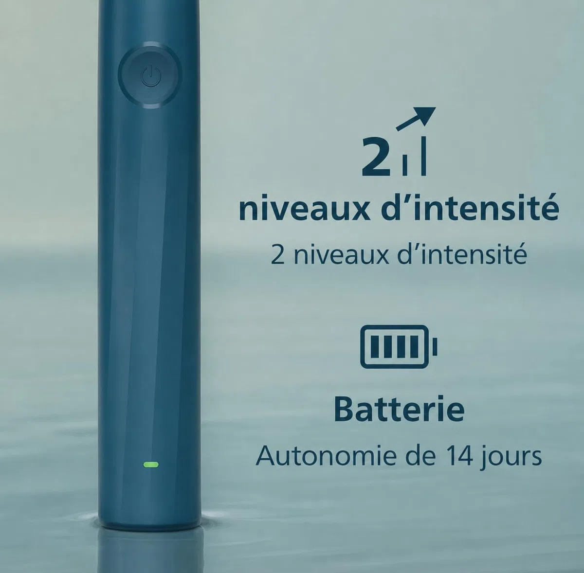 Philips Sonicare Série 2100 - Brosse à Dents Électrique Sonique, Élimine 3x plus de plaque, Capteur de pression, SmarTimer & QuadPacer, Bleu Cobalt (HX4021/04) (Bleu Marine)