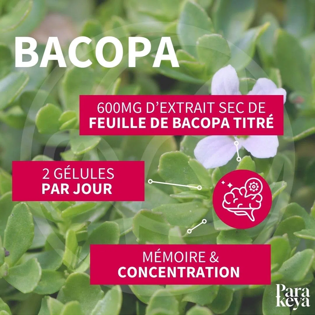 Bacopa 300 mg| Mémoire et Concentration|Complément alimentaire|180 gélules