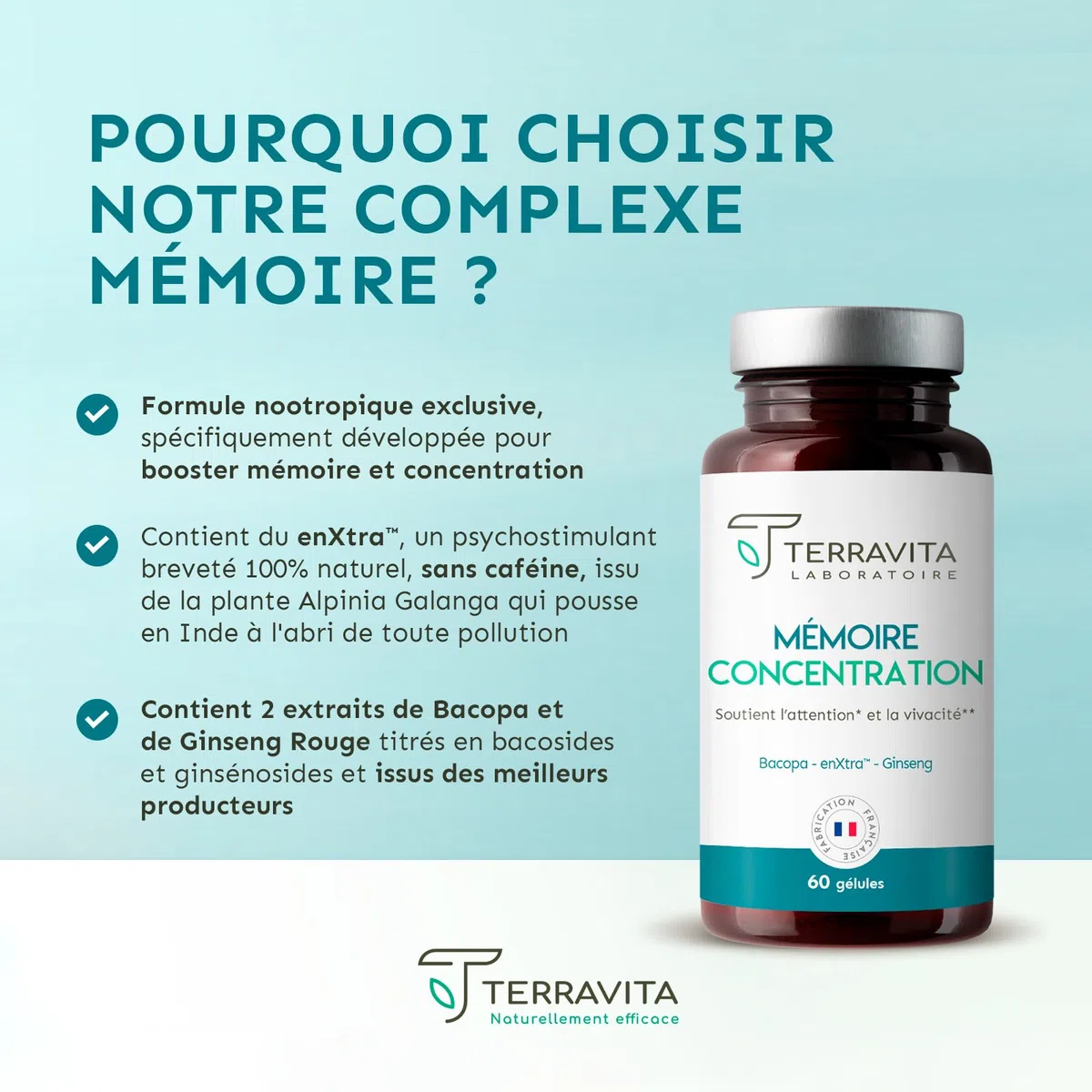 Mémoire Concentration | Ginseng Rouge de Corée + Bacopa + Actif Breveté EnXtra | 5 Heures de Vivacité et de Clarté Intellectuelle | Nootropique sans Caféine | 60 Gélules | Made in France | Terravita
