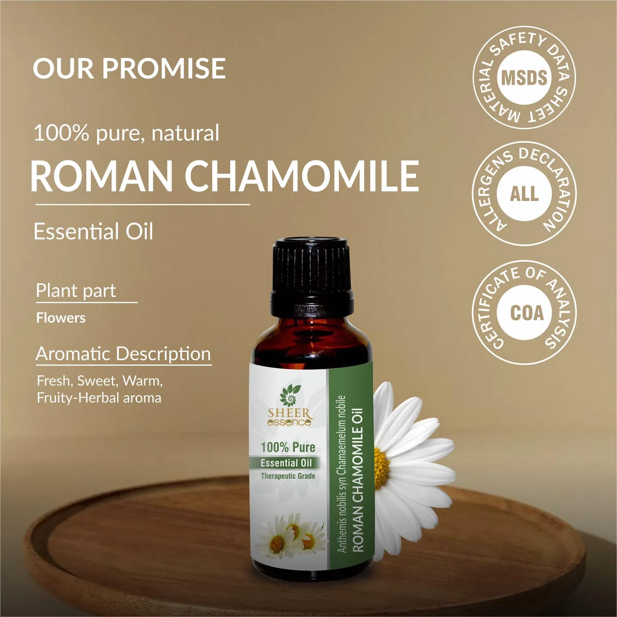Roman Chamomile Oil (Anthemis Nobilis Syn Chamaemelum Nobile) Essential Oil 100% Pure Natural Undiluted Uncut Therapeutic Grade Oil 0.33 FL.OZ
