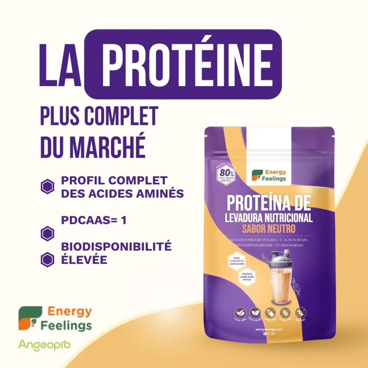 Energy Feelings Protéine Végétale de Levure Nutritionnelle 80%, Vegan Protein Powder, Protéine en Poudre Goût Neutre Sans Sucre Ajouté et Sans Lactose pour Musculation, Naturelle, 1kg