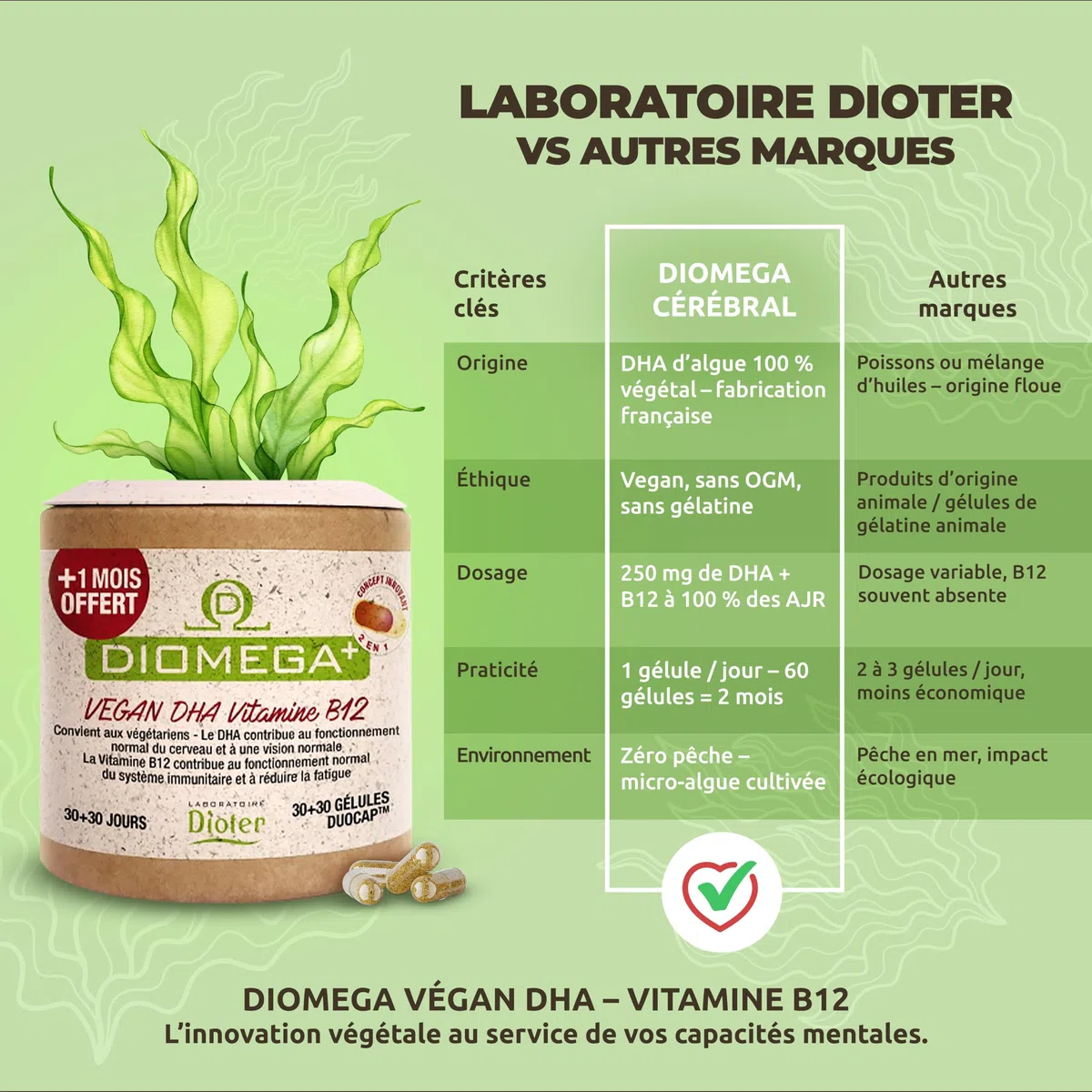 Dioméga Équilibre Cérébral, Oméga 3 végan, DHA d’Algues + Vitamine B12 – Complément Alimentaire végan - Mémoire, Concentration, Vision & Système Nerveux - 60 Gélules