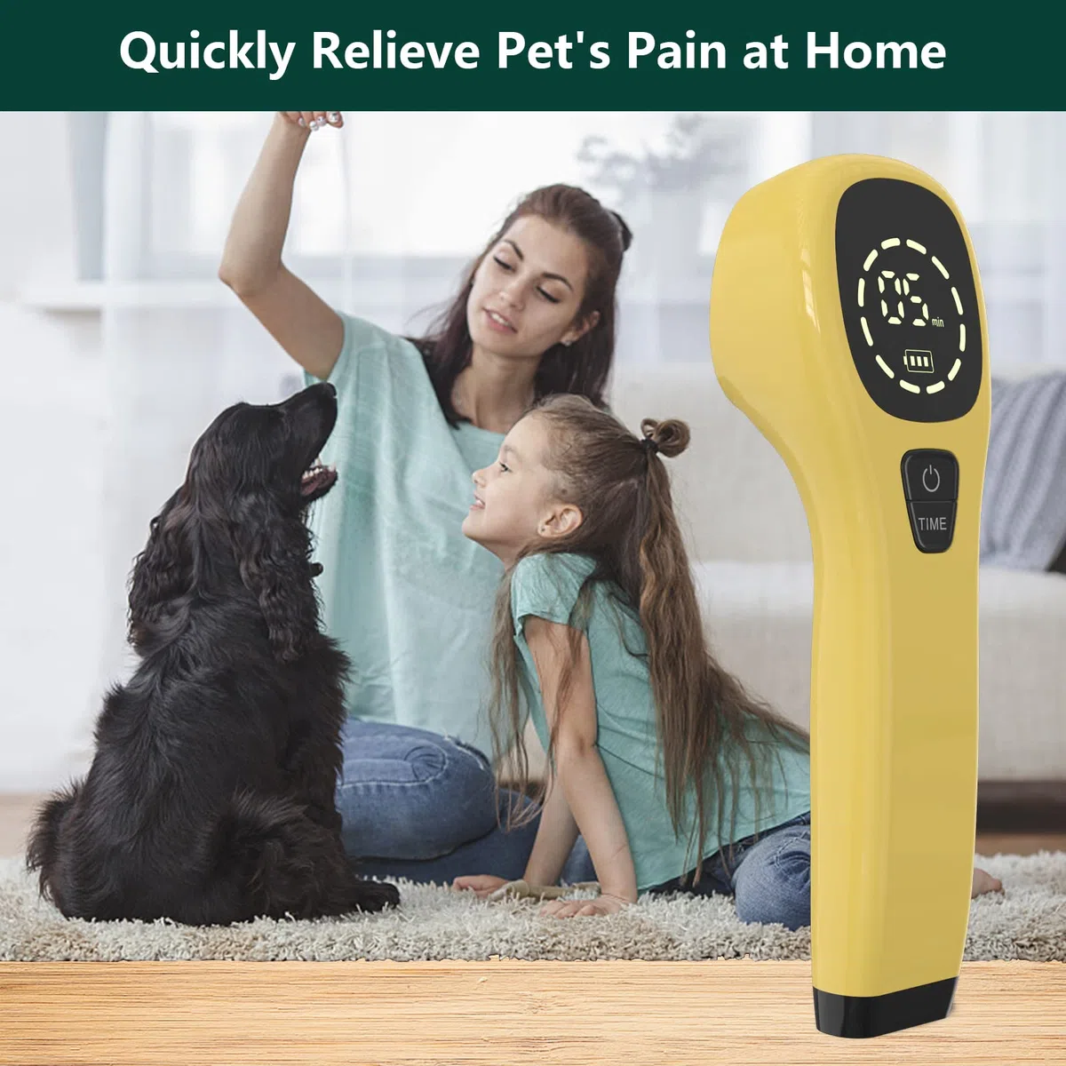 iKeener Appareil Thérapie Animaux/Vétérinaire,Thérapie au Laser Soulager Douleurs Articulaires Musculaires,Portable Thérapie Lumière Rouge,Longueur D'onde 650nm,808nm,pour Chiens,Chats,Chevaux (Or)