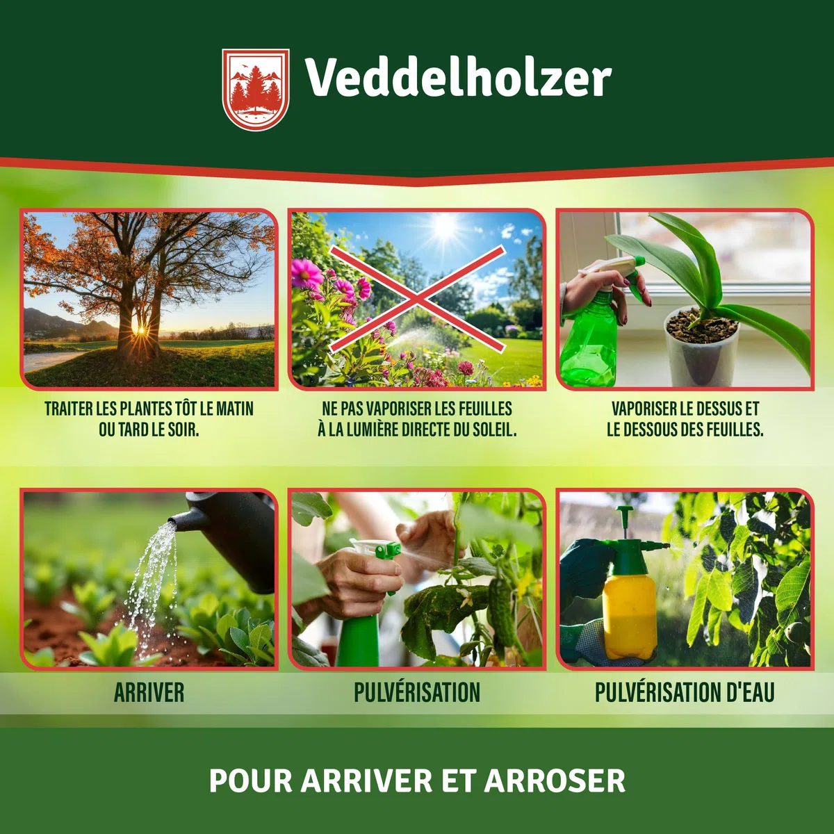 Veddelholzer 1000 ml d'huile de neem de qualité supérieure pressée à froid 100% naturelle, kit complet avec émulsifiant naturel + flacon pulvérisateur de 500 ml et 2 verres doseurs pour l'entretien