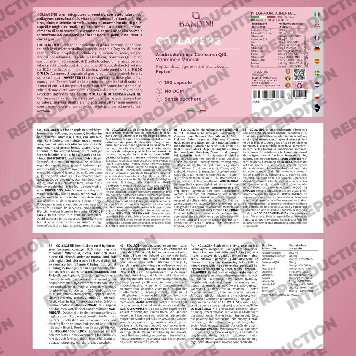 Bandini® Collagène Marin Peptan® + Acide Hyaluronique 180 Gélules, Anti Age | Pour Peau, Articulations et Cheveux - Vitamine C, Biotine, Zinc, Coenzyme Q10 et Sélénium, 1000mg Collagen Type I Hydrolysé