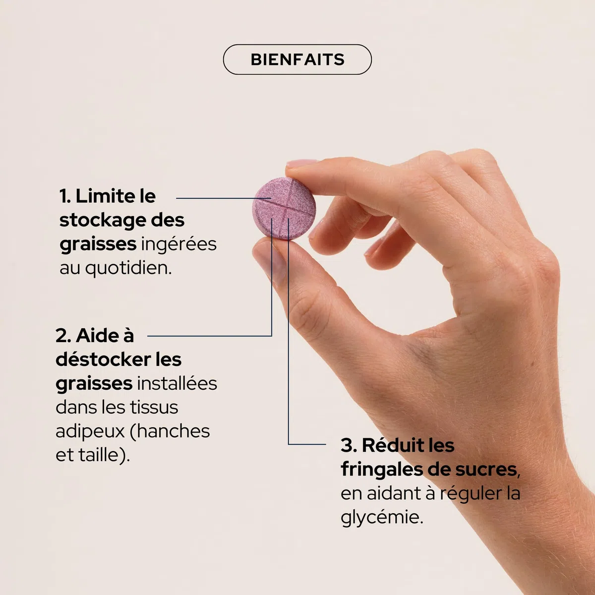 EPYCURE - Boost Méta Morosil 400mg Hautement Dosé - 87% Naturel - Équilibre Énergétique - Orange Moro, Cola, Chrome, Choline - Goût Myrtille - 1 Mois - Vegan