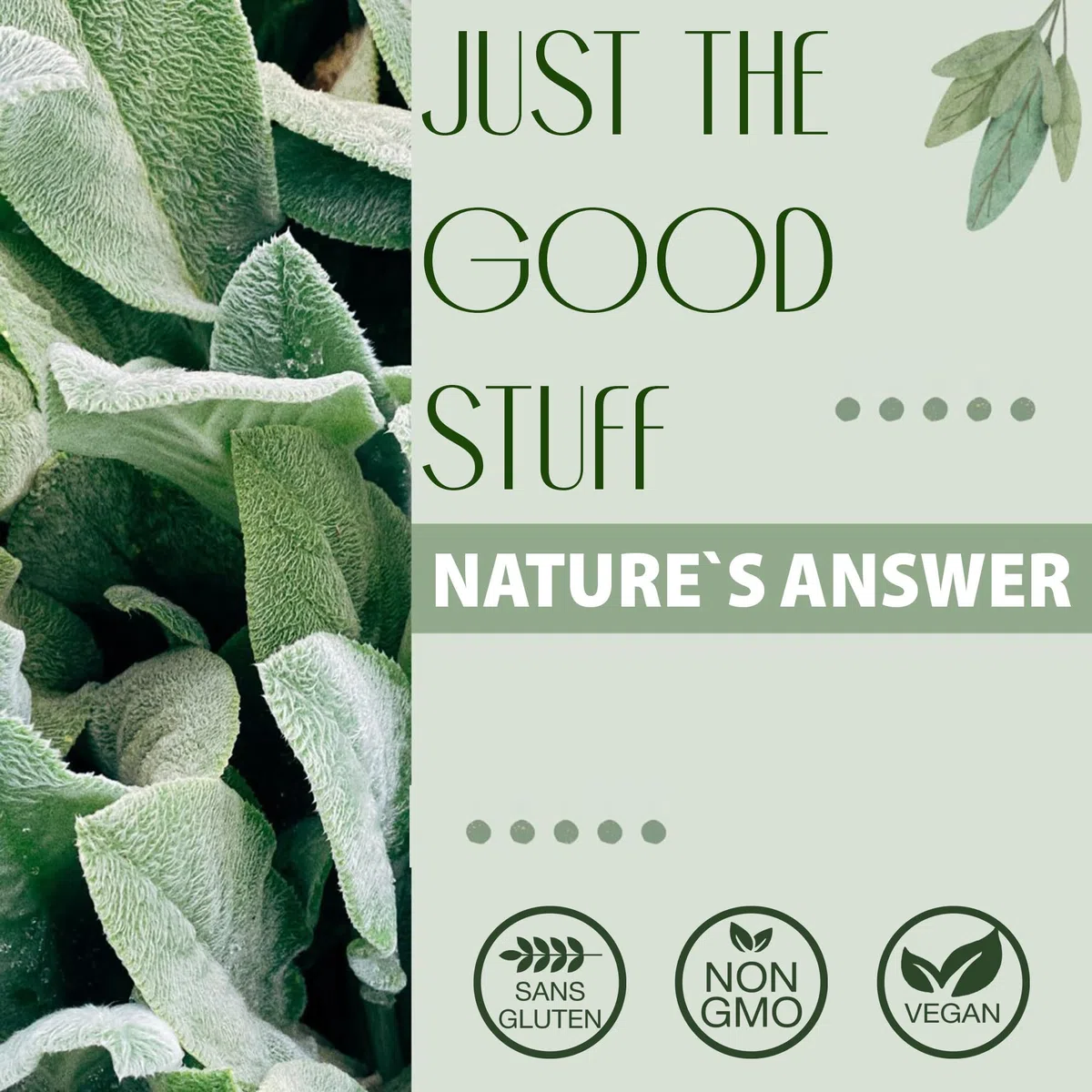 Nature's Answer, Hawthorn Extract (Extrait d'Aubépine), Sans Alcool, Gouttes végétaliennes, 30ml, Sans Gluten, Sans Soja, Végétarien, Sans OGM