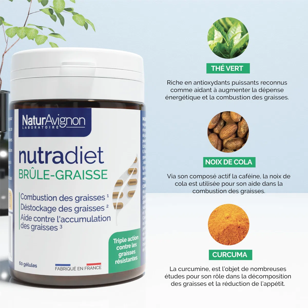 NaturAvignon Nutradiet Bruleur de graisse puissant | curcuma thé vert noix de cola | perte de poids rapide et efficace | coupe faim Minceur Perte de Poids rapidement | 60 gélules minceur