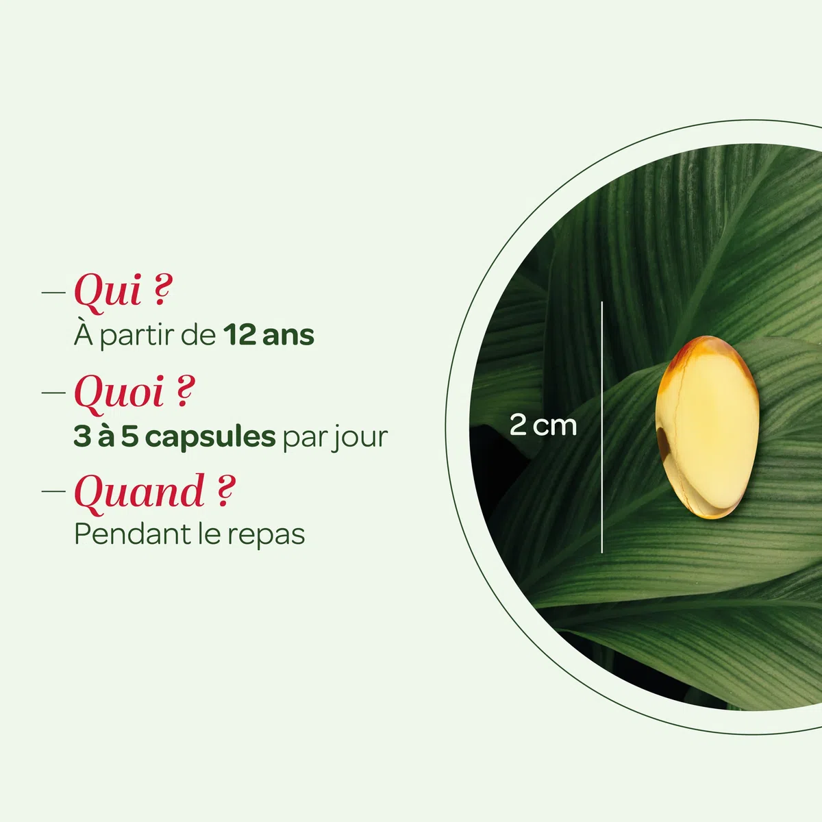SUPERDIET –HUILE D'ONAGRE BOURRACHE – Beauté de la peau – Phytothérapie – Conditionné en France – 200 capsules