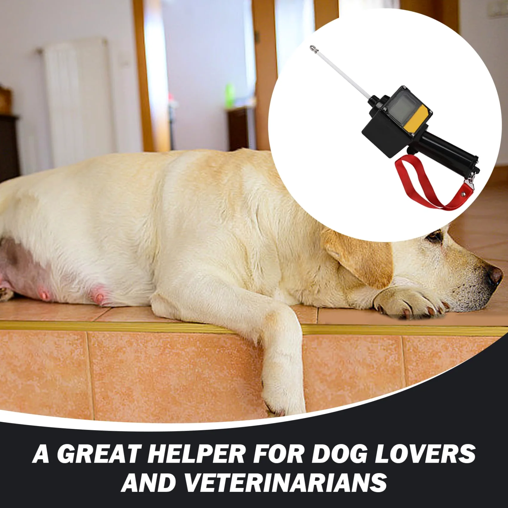 Détecteur d'ovulation pour Chien 2 LCD Test de progestérone imperméable pour Les Chiens avec Une sonde magnétique et Une lonyard Powered Dog Grossancy Test de Reproduction Supplies Ovulation Détecteu