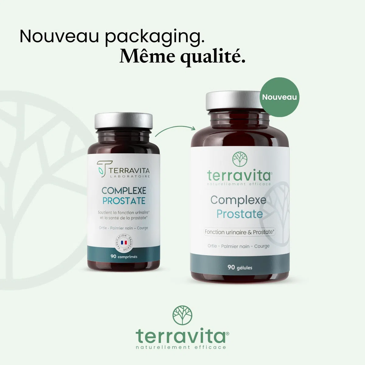 Complexe PROSTATE | Protection de la Prostate et Confort Urinaire Homme | Lutte Naturellement et Efficacement contre l’HBP et les Mictions | Dosage Clinique | 90 Gélules | Made in France | Terravita