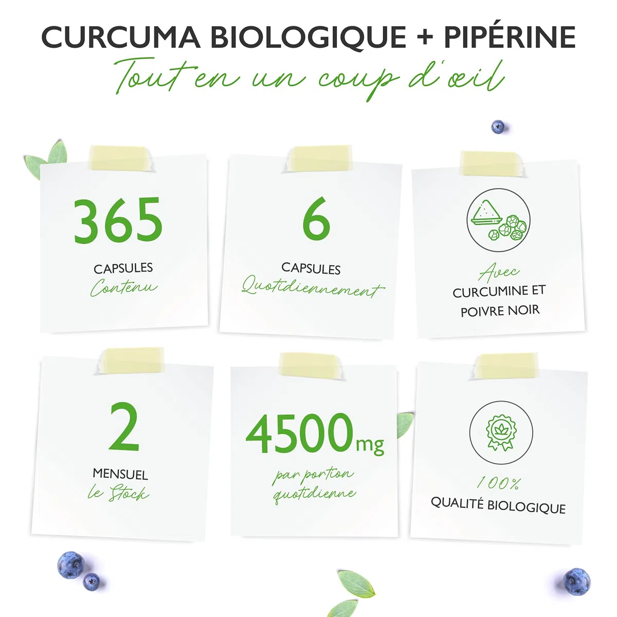 Curcuma bio - 365 gélules - avec curcumine de curcuma et pipérine de poivre noir bio - Haute dose - Vegan