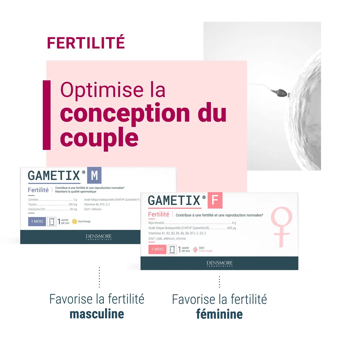 Densmore - GAMETIX F - Fertilité femme et Grossesse - Complément Alimentaire à base Vitamines et Minéraux, Myo-Inositol, Acide Folique - 30 sachets (poudre) - 1 mois - Fabriqué en France