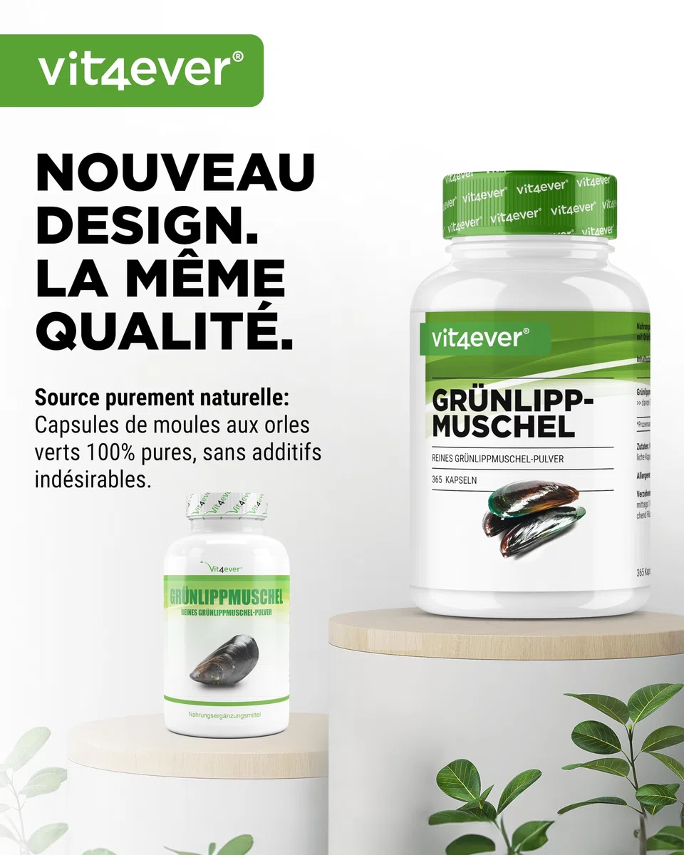 Moules aux Orles Verts - 365 capsules de 600 mg - Avec Glycosaminoglycanes - Extrait Hautement Dosé - 100% Poudre de Moules aux Orles Verts de Nouvelle-Zélande, sans Additifs.