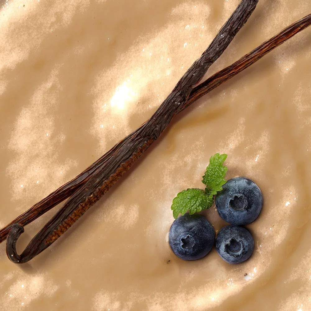 Prozis Avoine Complète Instantanée en Poudre 1 250 g Vanille Céréales Enrichies de Protéines et de Glucides de Haute Qualité - Convient pour les Végétarians et Végans