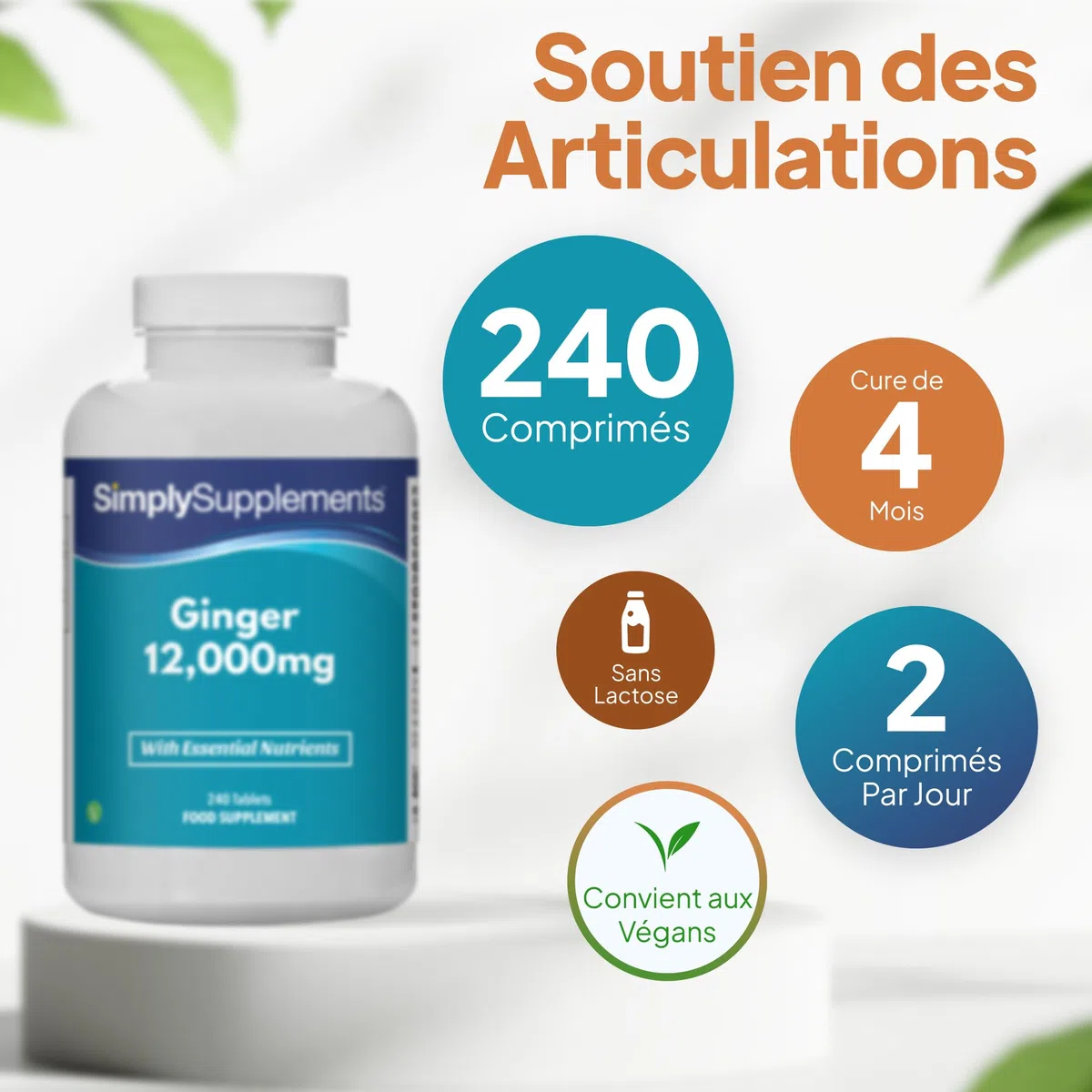 Comprimés de Gingembre | Soutien Articulations, Os, Énergie | Calcium & Manganèse | 240 Comprimés Haute Puissance = 4 Mois | Végan | GMP Certifié, Fabriqué au Royaume-Uni