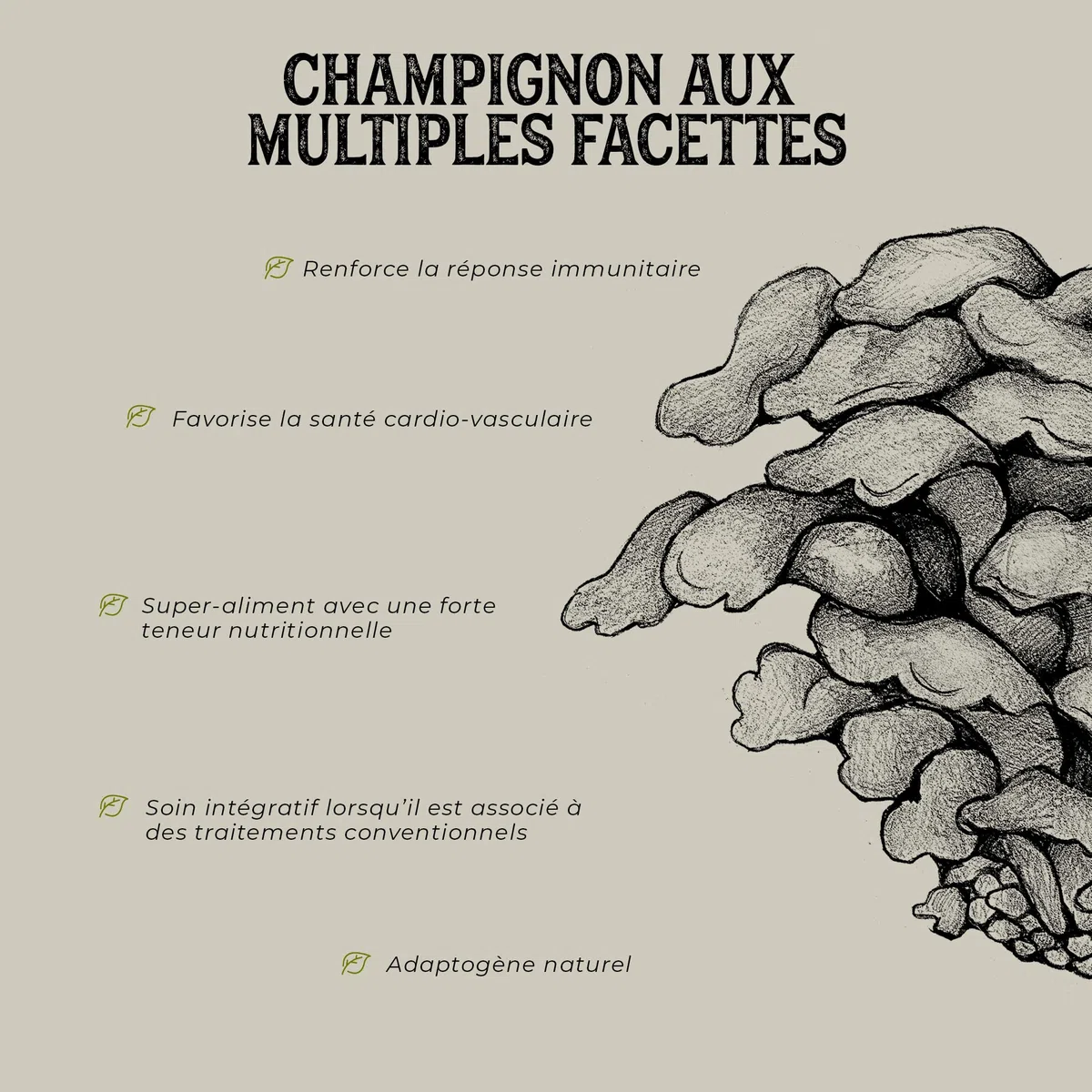 Maitake Bio * Plantae * 60 gélules végétales * Renforce le système immunitaire + Santé cardiovasculaire + Super-aliment *
