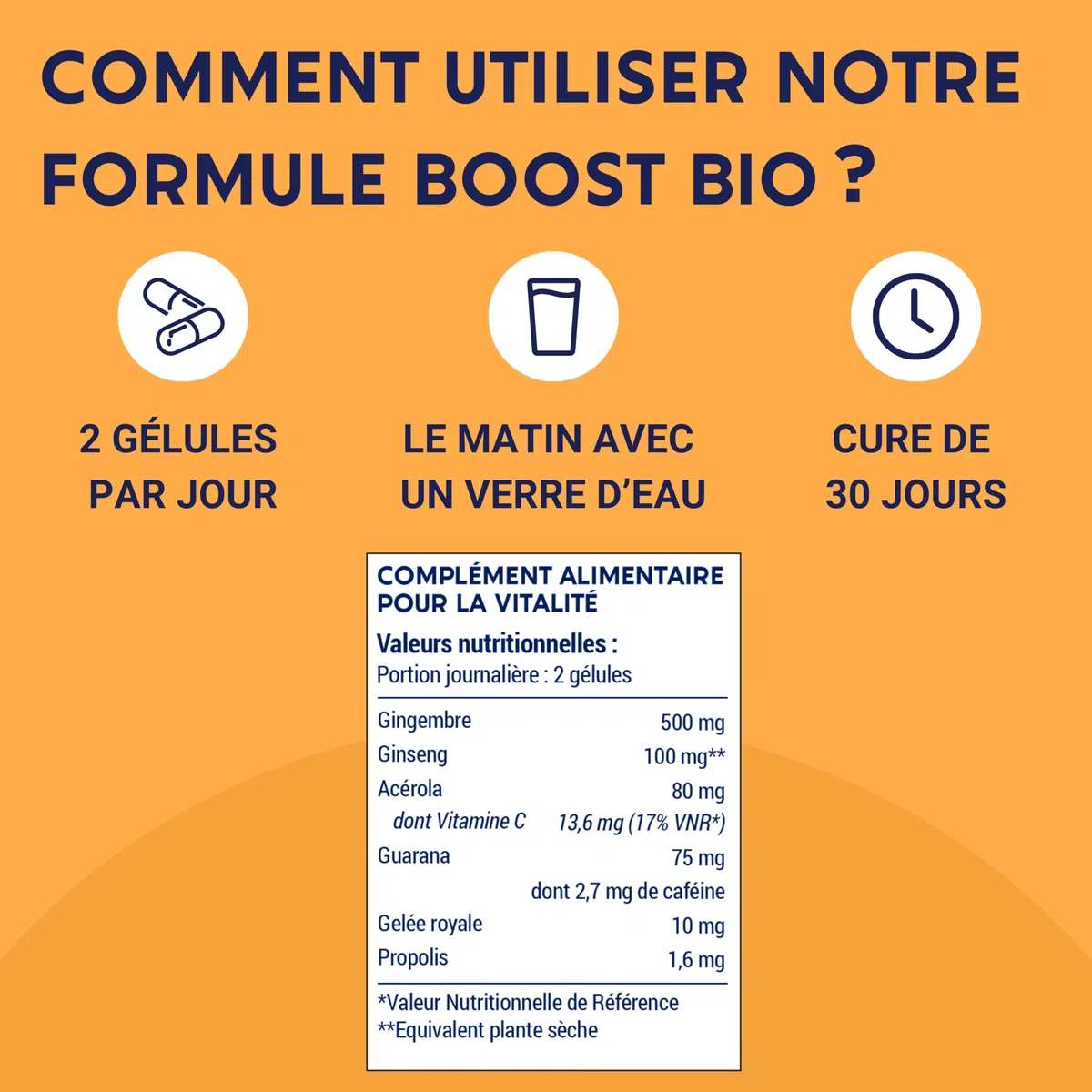 FORMULE BOOST BIO | 4G : Ginseng, Gelée royale, Guarana, Gingembre + Acérola | Complement Alimentaire Anti-Fatigue | Immunité et Energie | Fabriqué en France