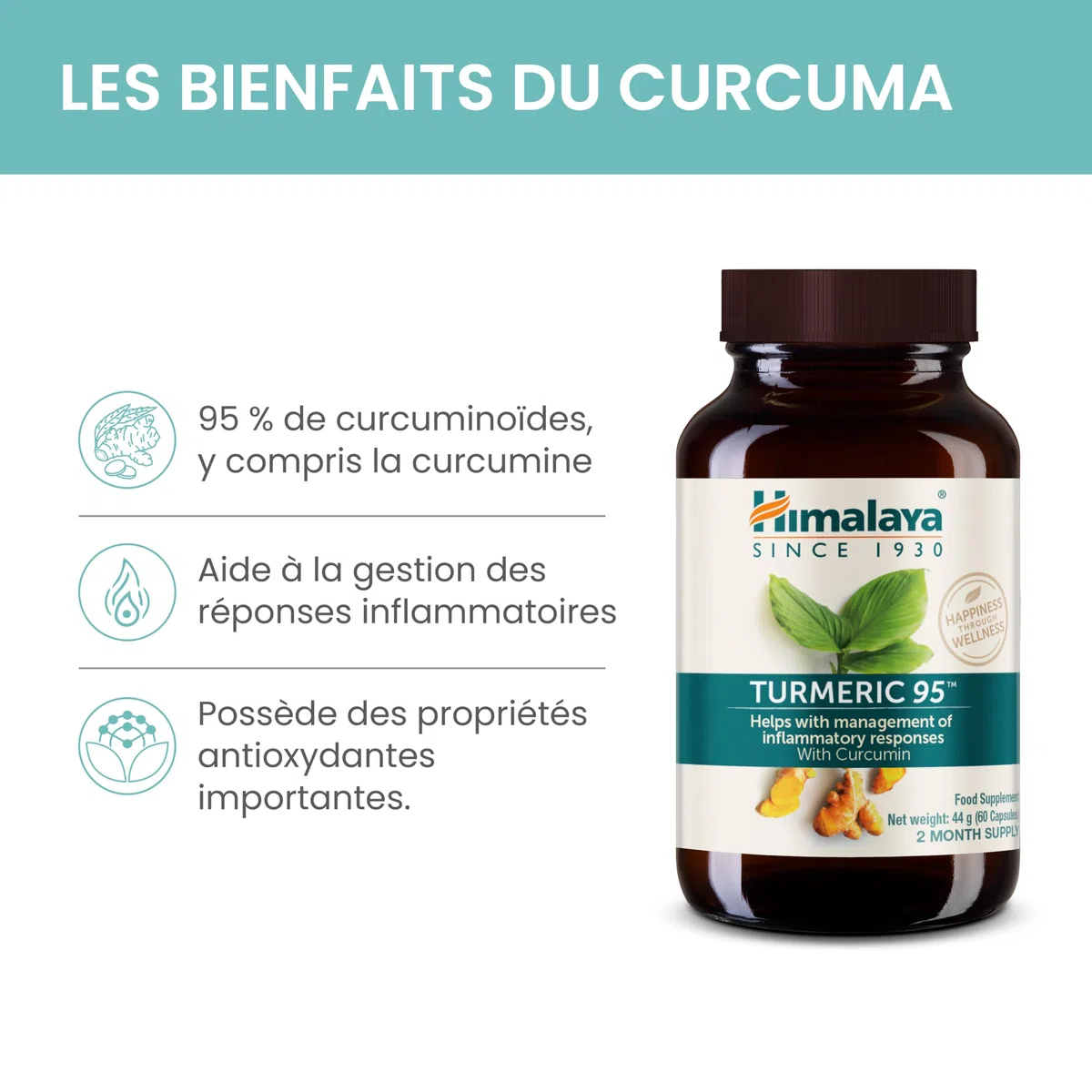 Himalaya Curcuma 95 Supplément avec curcumine/curcuminoïdes, soutient le système immunitaire, résistance aux allergies, 600 mg, végétalien, sans gluten, 60 capsules