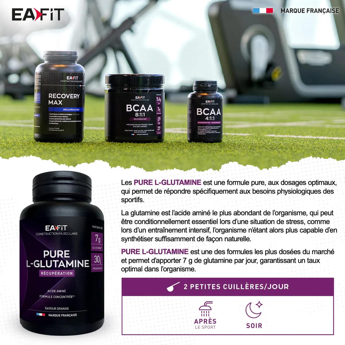 EAFIT | Pure L-Glutamine 243 g - L Glutamine en poudre - Supplément Acide Aminés en Poudre - Complément Alimentaire - Récupération Musculaire, Santé Intestinale et Immunité - Gout Orange