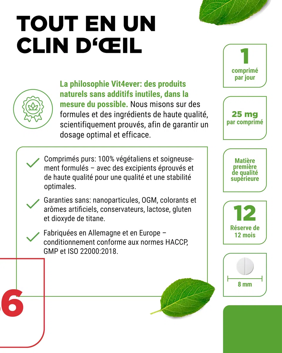 vit4ever Vitamine B6 sous Forme de P-5-P - 365 Comprimés - Hautement Dosée à 25 mg (Pyridoxal-5-Phosphate) - Premium : Vitamine B6 Bioactive - Sans Additifs Indésirables - Vegan