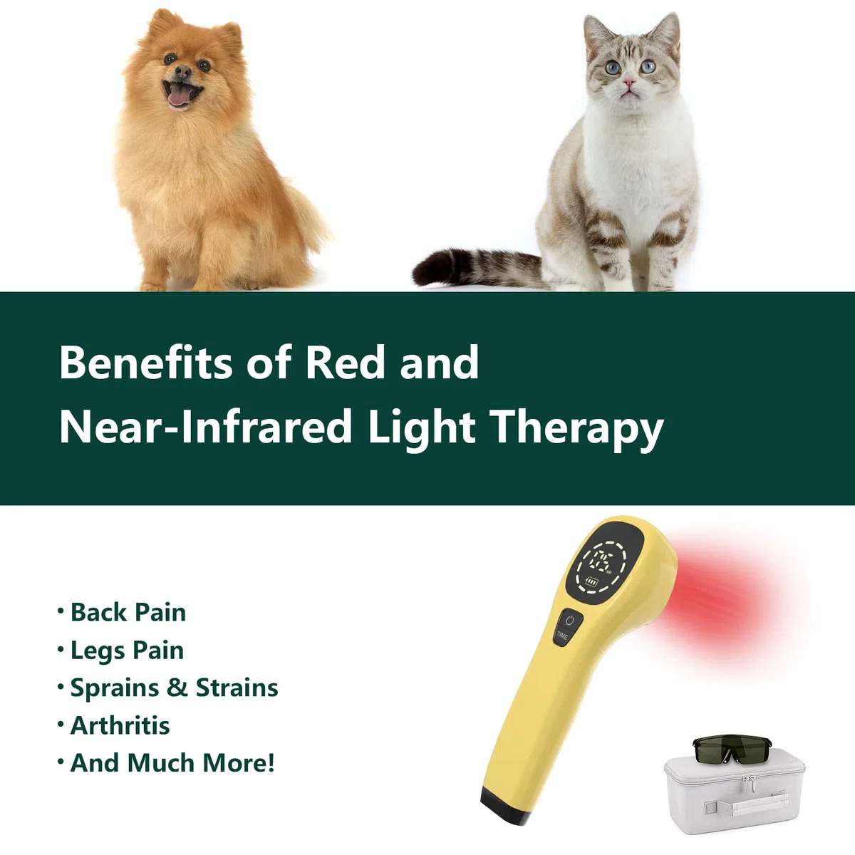 iKeener Appareil Thérapie Animaux/Vétérinaire,Thérapie au Laser Soulager Douleurs Articulaires Musculaires,Portable Thérapie Lumière Rouge,Longueur D'onde 650nm,808nm,pour Chiens,Chats,Chevaux (Or)