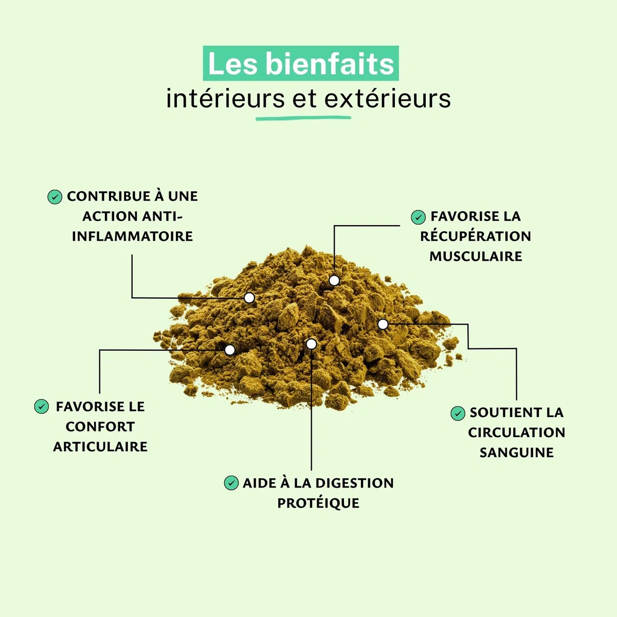 RUE DES PLANTES - Bromélaïne Poudre 100g | Enzyme Naturelle de Cœur d'Ananas | Digestion et Bien-être - Complément Alimentaire Vegan | Made in France