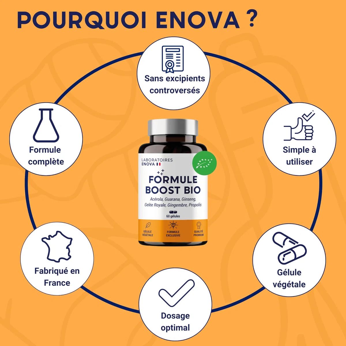 FORMULE BOOST BIO | 4G : Ginseng, Gelée royale, Guarana, Gingembre + Acérola | Complement Alimentaire Anti-Fatigue | Immunité et Energie | Fabriqué en France