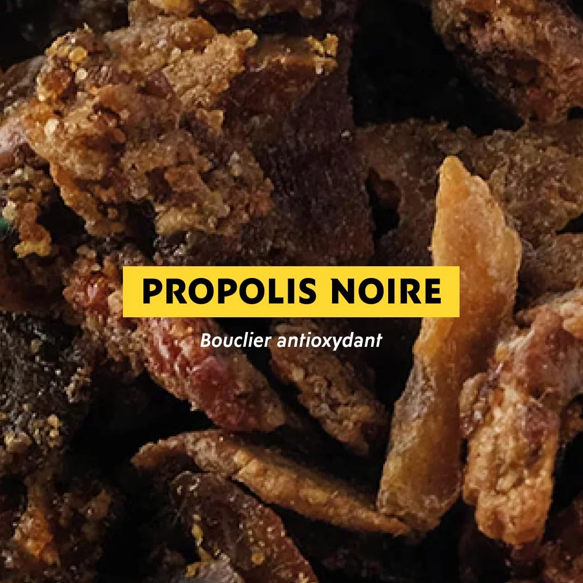 Alvadiem Mycospray Assainissant à la propolis noire - 50ml