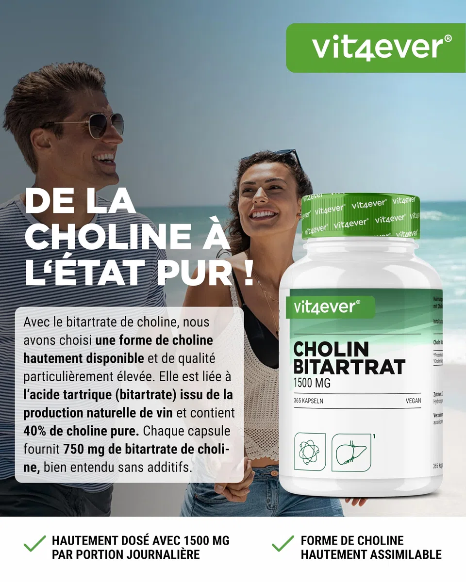 Gélules de Choline – 365 Gélules avec 1500 mg de Bitartrate de Choline par Dose Quotidienne – plus de 6 Mois de Réserve – Foie, Homocystéine & Métabolisme des Graisses – Naturel, Fortement Dosé, Véga