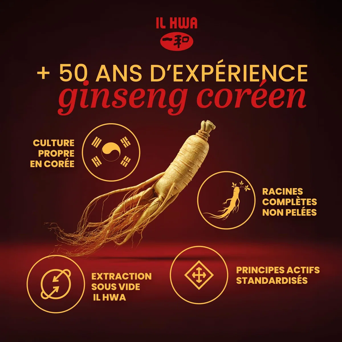 Ginseng de Corée 100% Authentique 500 mg, 50 Gélules | Panax Ginseng Pur Sans Additifs | Énergie Physique et Mentale | Racines de 6 Ans | Qualité Ilhwa
