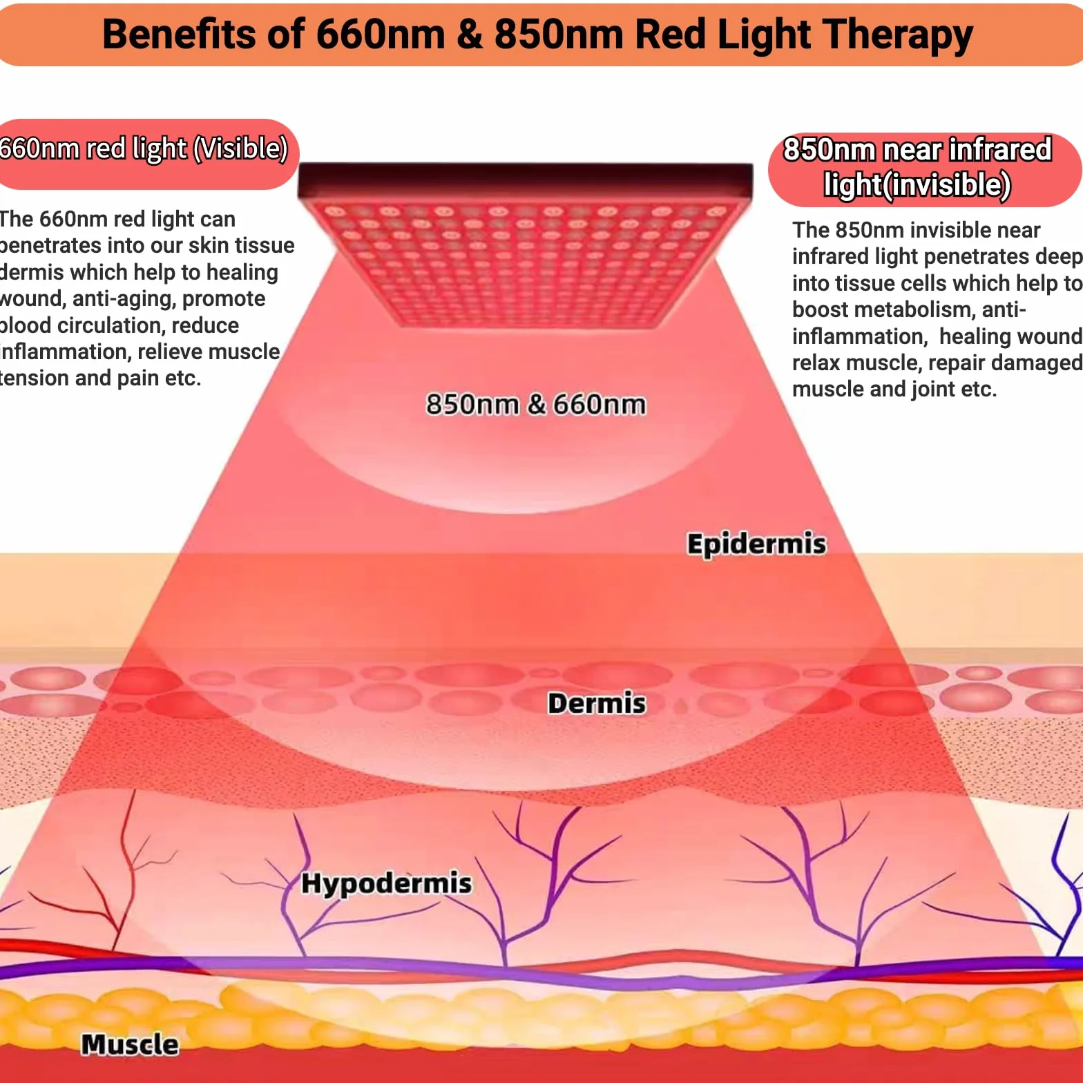Lampe de luminothérapie rouge à 225 LED,660nm et 850nm,appareil de luminothérapie proche infrarouge pour tout le corps,le visage,le cou,le dos,les épaules,la taille et les genoux,soulageant la douleur