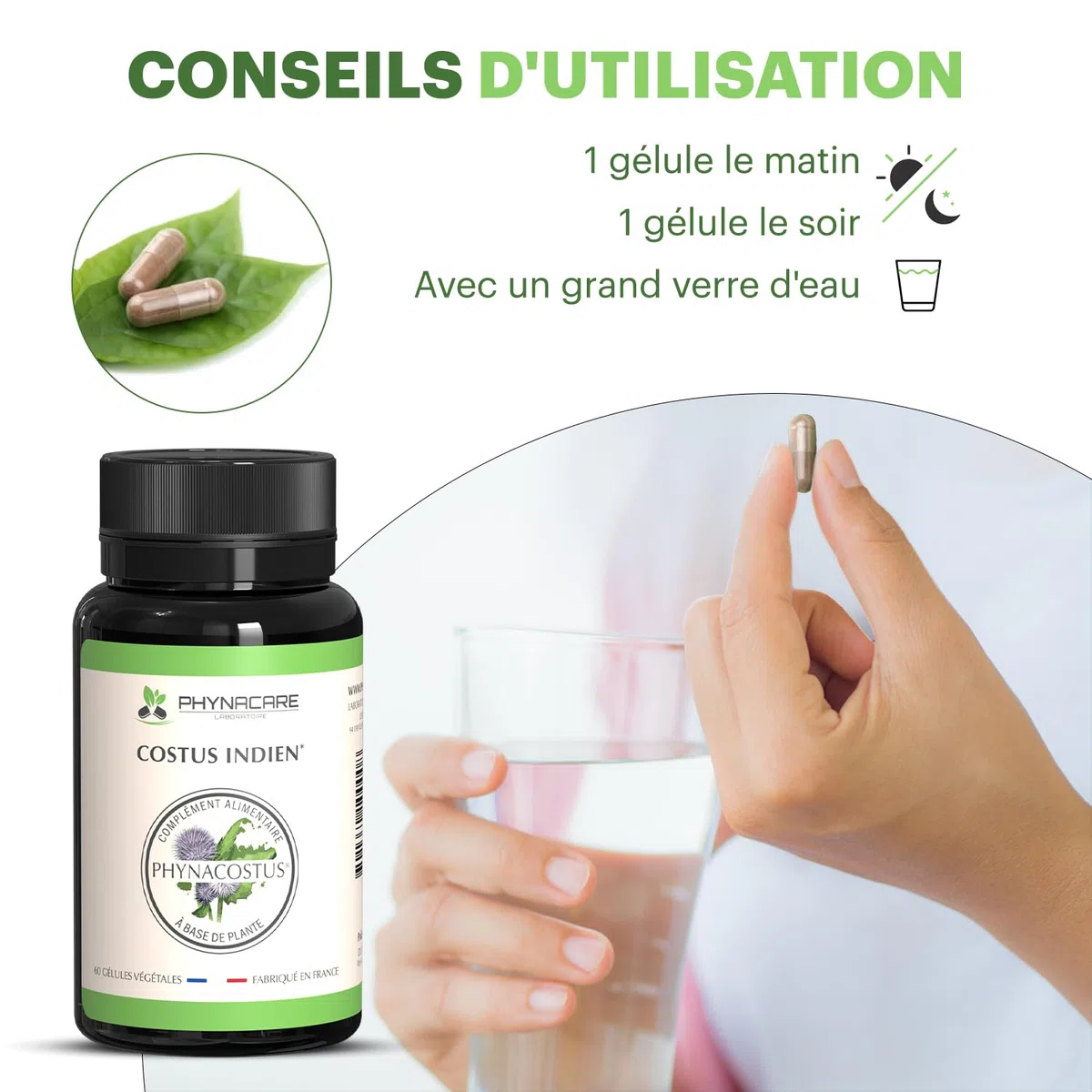 COSTUS INDIEN - COSTUS MARIN - 60 GÉLULES VÉGÉTALES - PHYNACOSTUS, FABRIQUE ET ANALYSÉ EN FRANCE, PHYNACARE LABORATOIRE