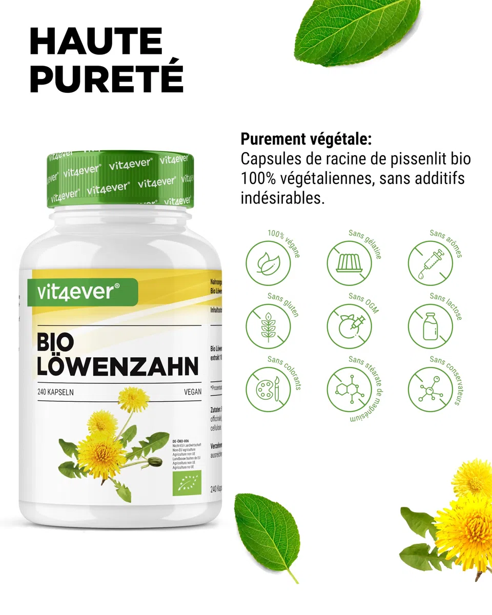 Pissenlit bio – 240 gélules – 1500 mg d'extrait de racine de pissenlit - Rapport 10:1 hautement dosé - Extrait véritable de Taraxacum officinale - Sans additifs – Vegan