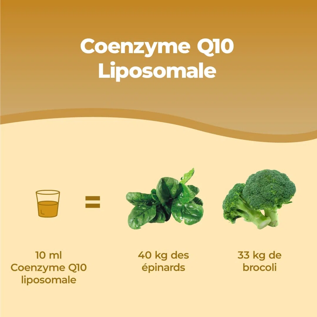 Bandini® Coenzyme Liposomale Q10 200mg Extra Fort | Vegan, Antioxydant puissant - CAVAQ10® 100% Ubiquinone forte & pure - Coq10 fermenté, haute biodisponibilité, testé en laboratoire, qualité premium