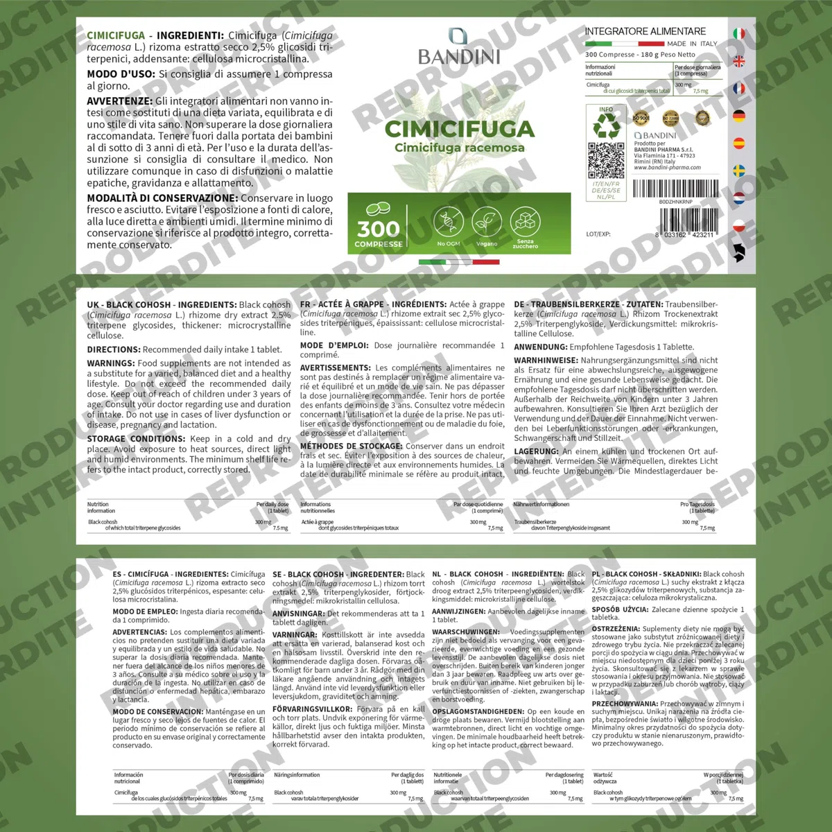 Bandini® Actée à grappe 300 comprimés | Cimicifuga racemosa ou Actaea racemosa rhizome extrait sec | Complément alimentaire Vegan | 300 mg par dose quotidienne | Supplément Naturel et Végétalien