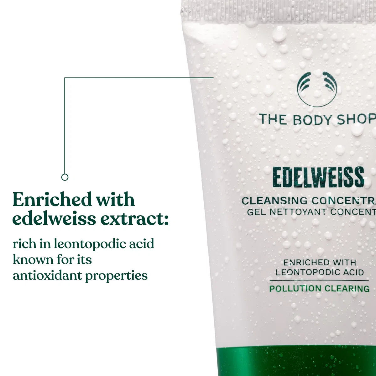 THE BODY SHOP Edelweiss Cleansing Concentrate 100 ml pour adultes, avec formule agréable, hygiène agréable