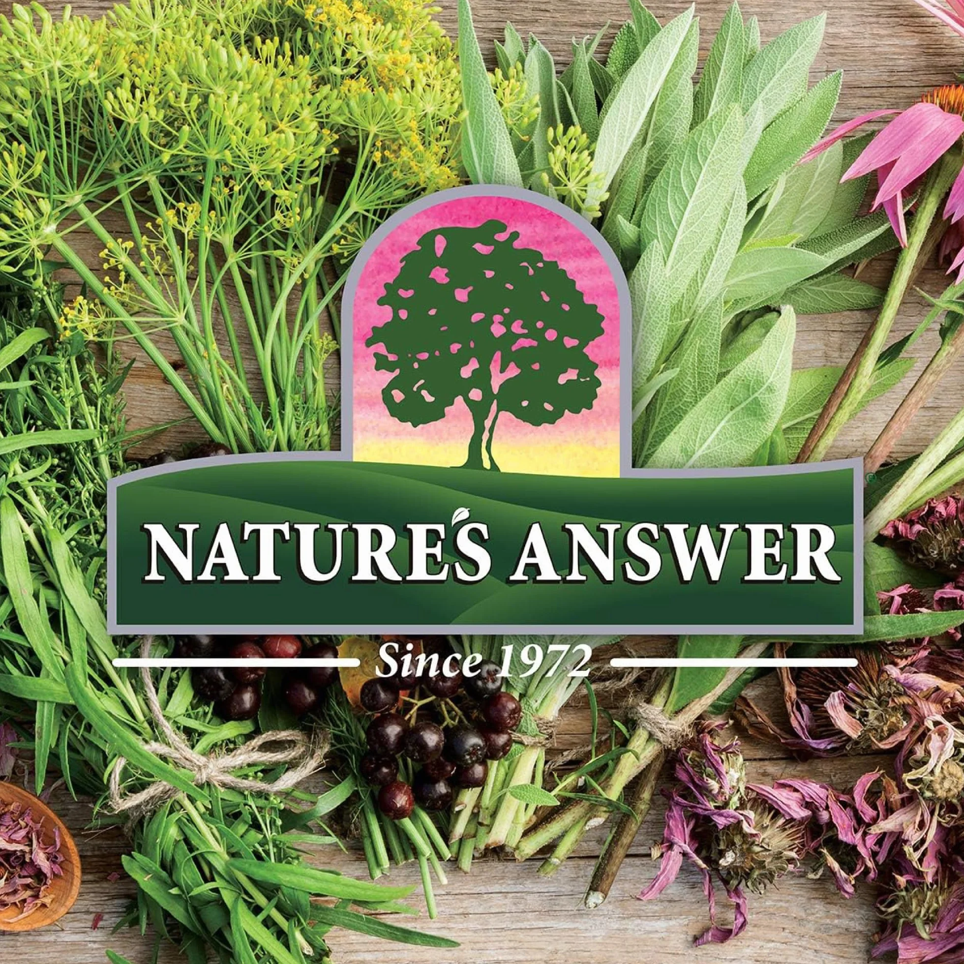 Nature's Answer, Hawthorn Extract (Extrait d'Aubépine), Sans Alcool, Gouttes végétaliennes, 30ml, Sans Gluten, Sans Soja, Végétarien, Sans OGM